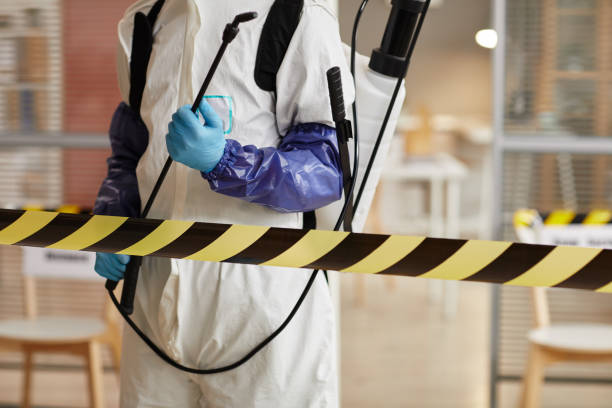 Professional Sewage Cleanup technician working in Carpenter, WY